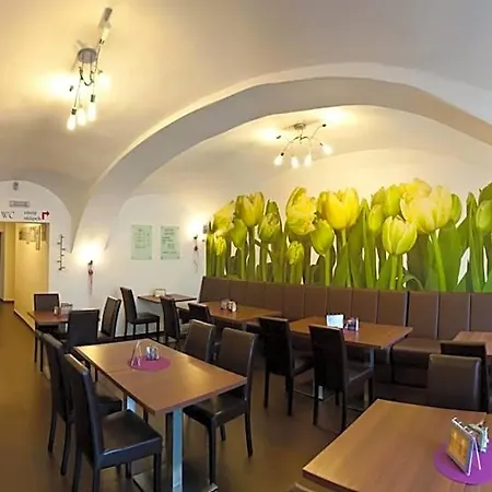 Berger Hotel Kamenice nad Lipou