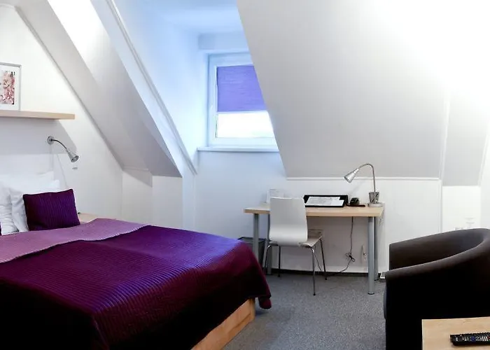 Berger Kamenice nad Lipou